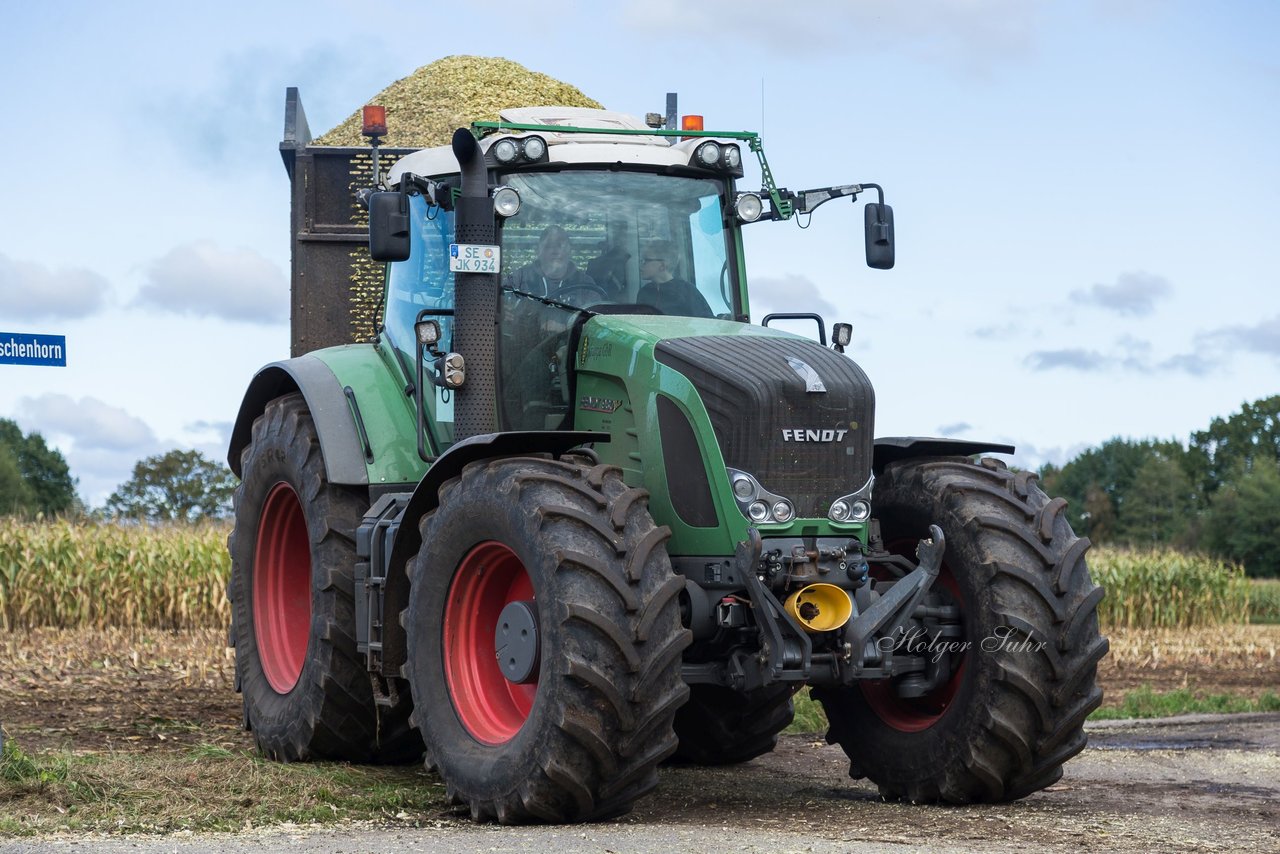 Bild 153 - Maisernte